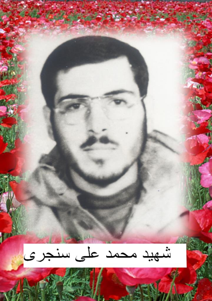 فاقد تصویر